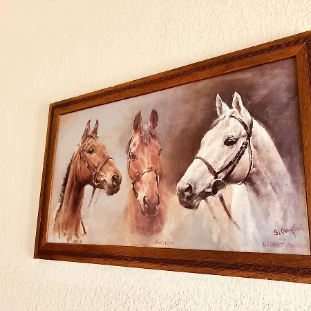 Cavaletti Vendeghaz * Lajoskomarom